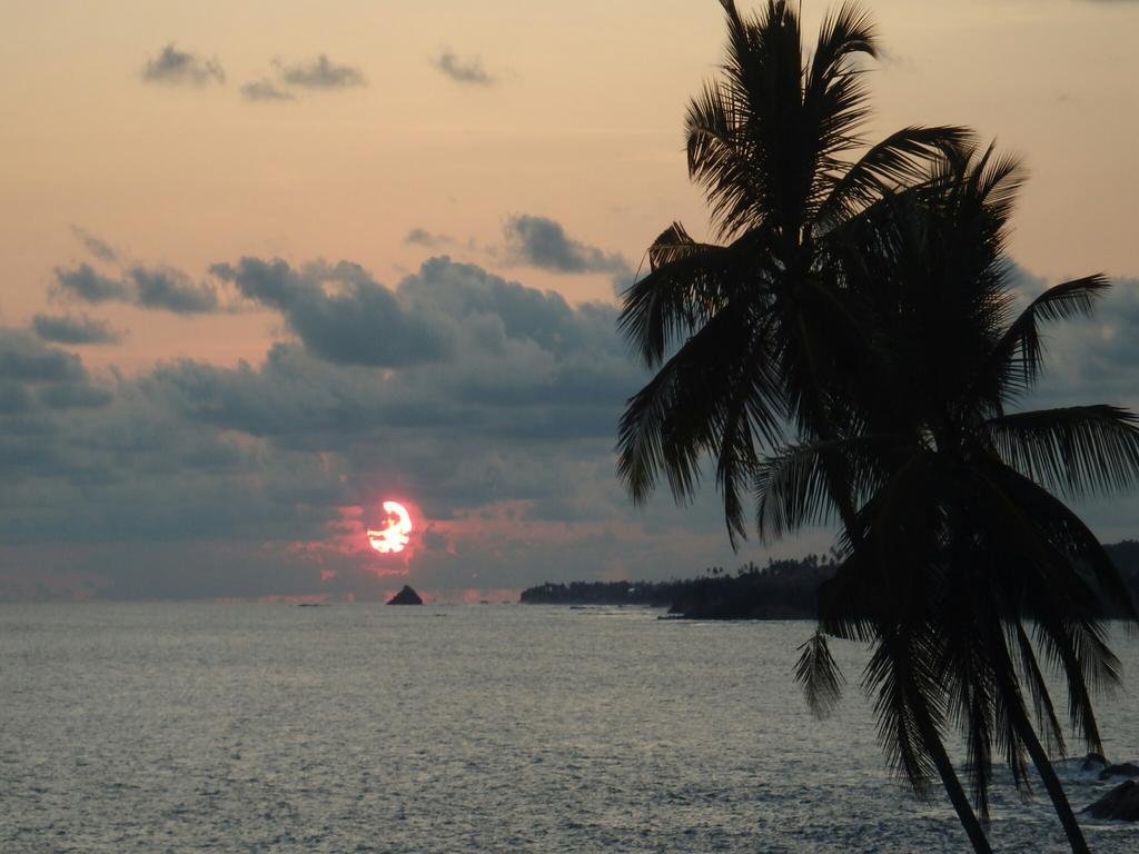 Perfect View Mirissa Otel Dış mekan fotoğraf